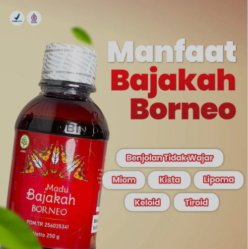 Madu Bajakah Borneo